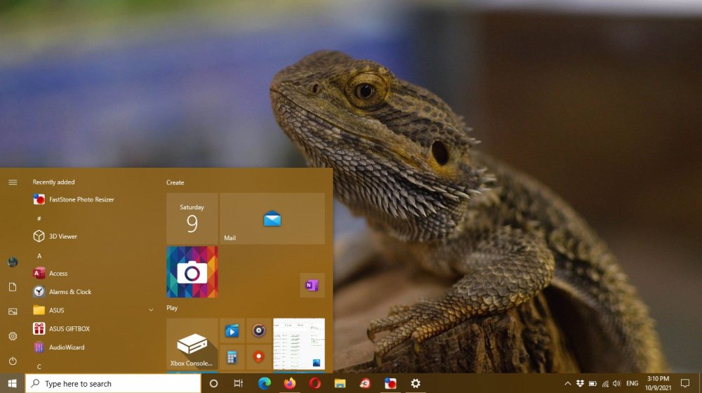 Bearded Dragon Theme Packages